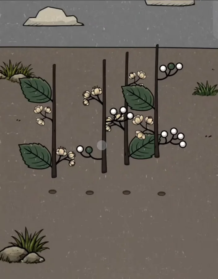 Сцена «цветущие ветки» на уровне 50 в Flower Forest до решения